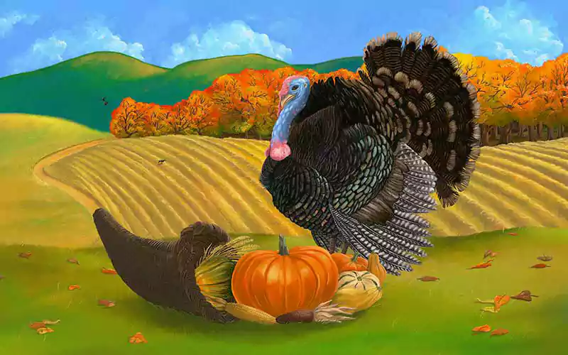 happy thanksgiving turkey image funny