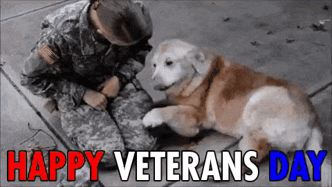 happy veterans day gif images