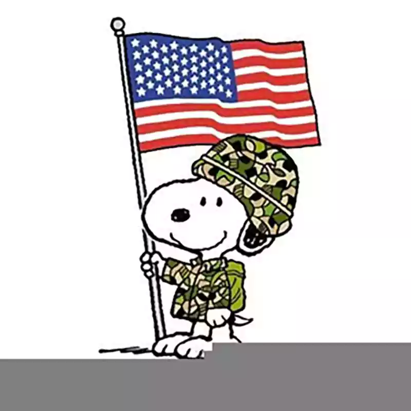 images of snoopy veterans day