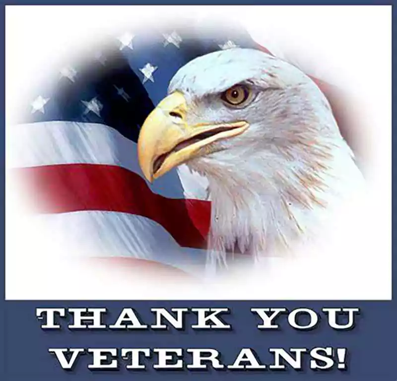 images of thank you for veterans day