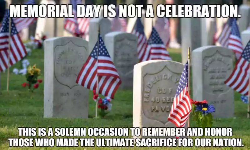 memorial day vs veterans day meme