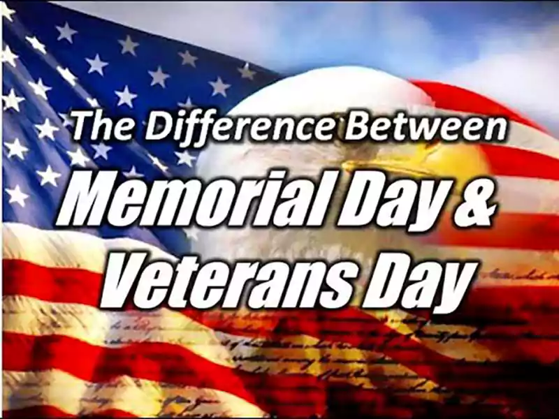memorial day vs veterans day vs armed forces day meme
