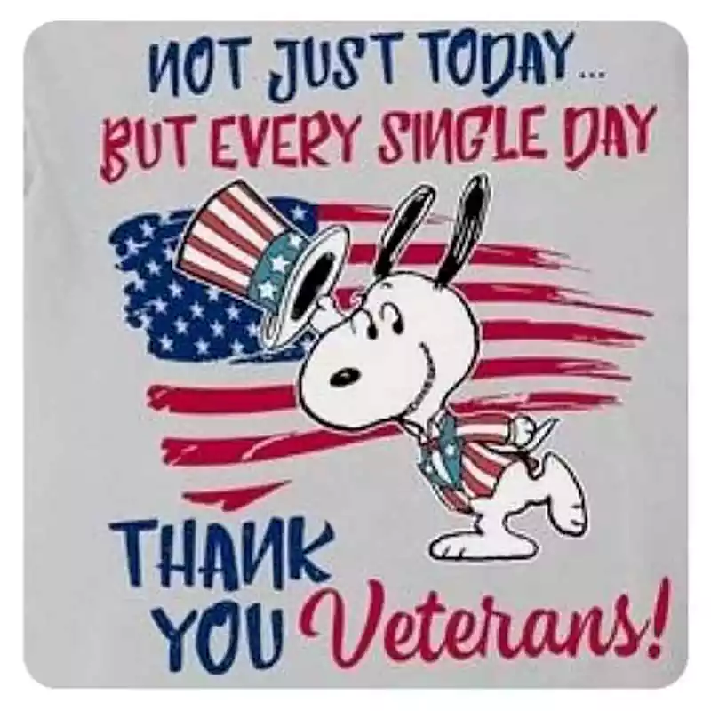 snoopy happy veterans day pictures