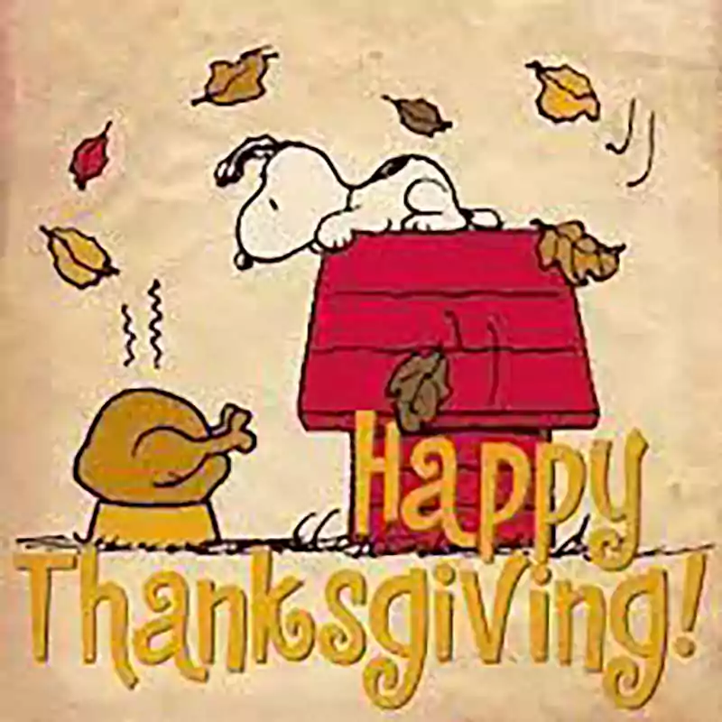 snoopy thanksgiving pic