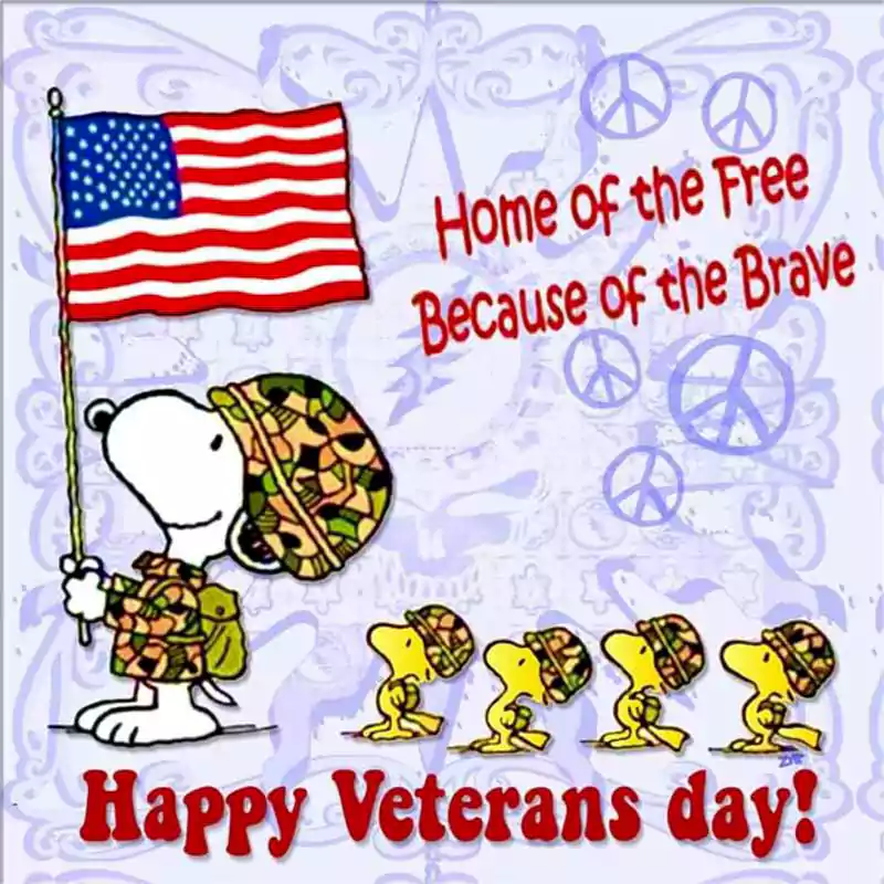 snoopy veterans day image