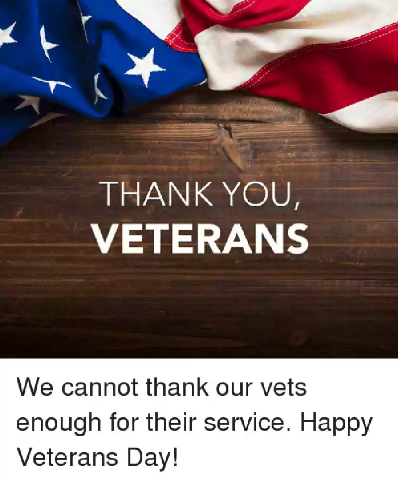 snopes michelle obama veterans day meme
