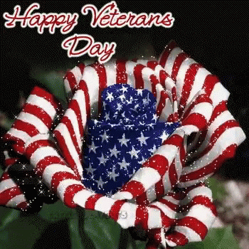 thank you for your service veterans day gif