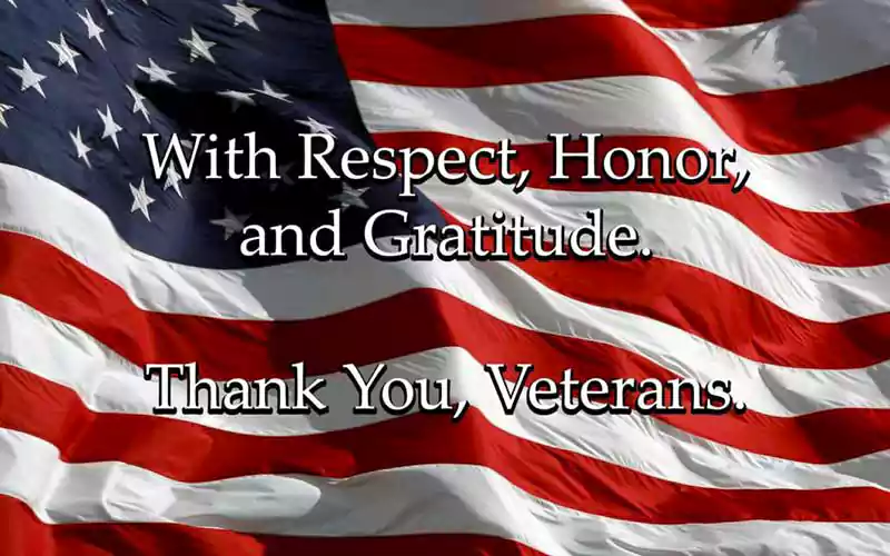 thank you for your service veterans day image