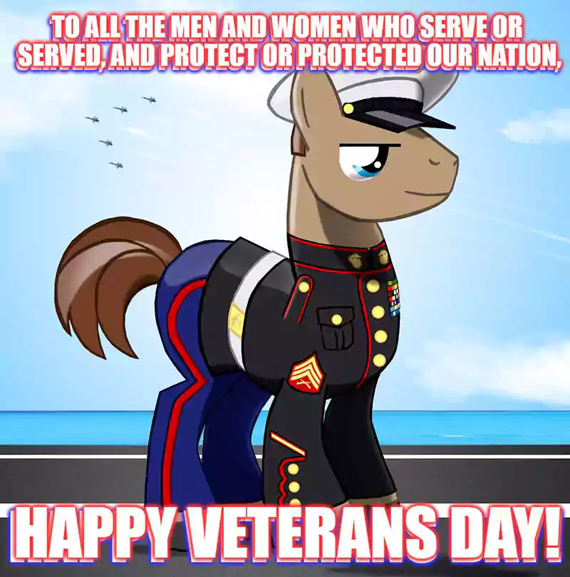 thank you veterans day meme