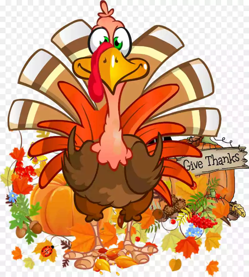 thanksgiving funny cartoon with turkey
