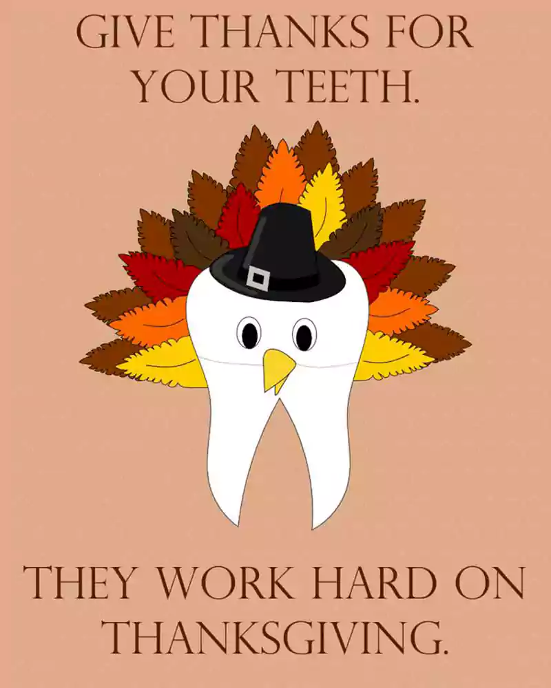 thanksgiving turkey jokes picture