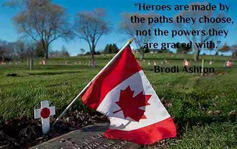 tribute to veterans on memorial day images and quotes
