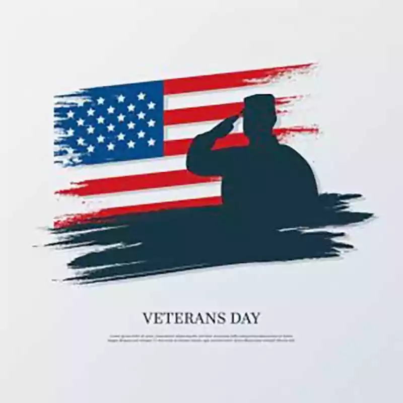 veterans day facebook profile pictures