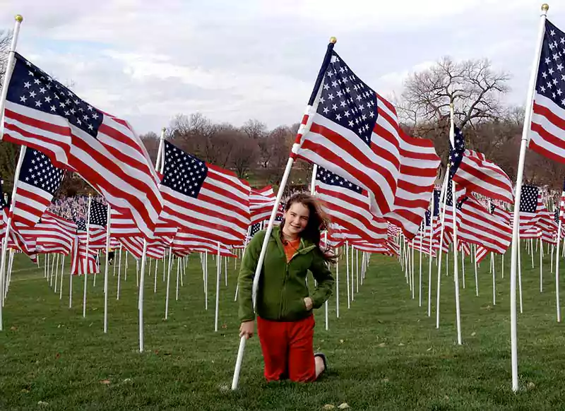 veterans day flag image