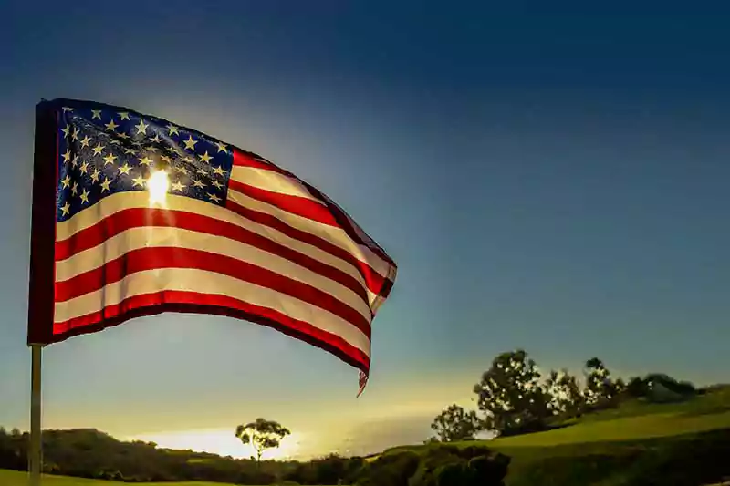 veterans day flag image