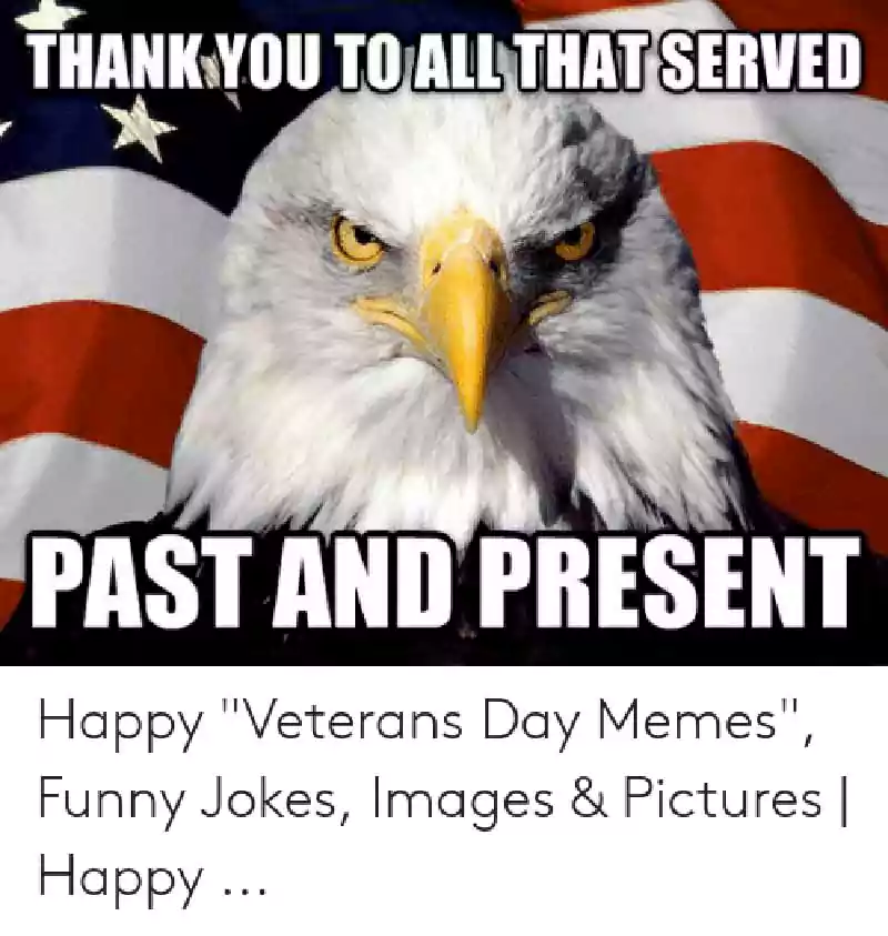 veterans day funny meme