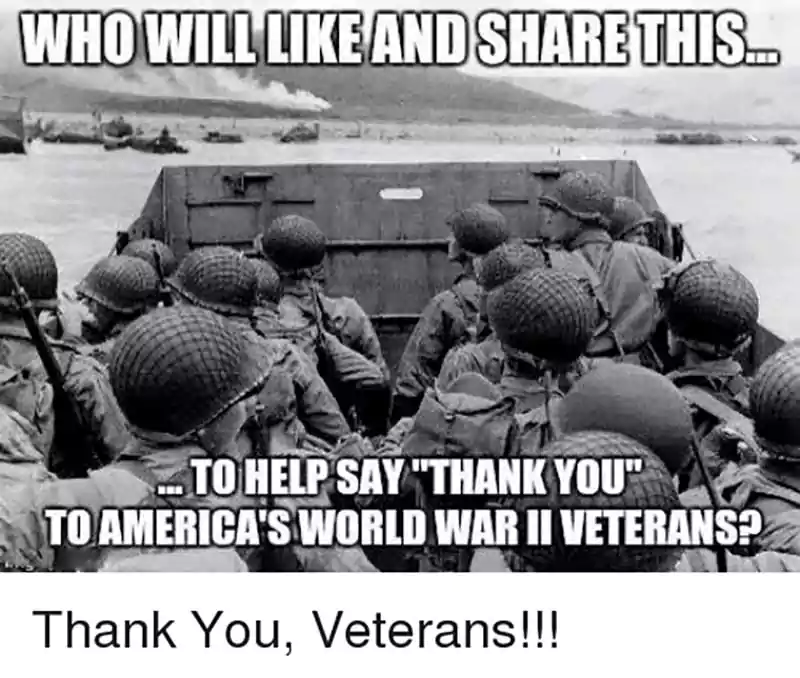 veterans day meme free thank you for your service
