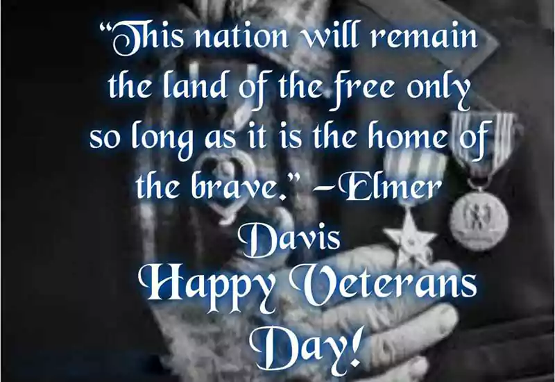 veterans day quotes by presidents