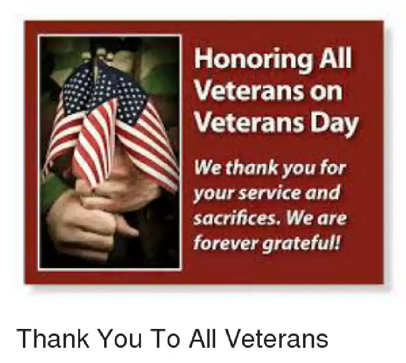 veterans day thank you for your service meme
