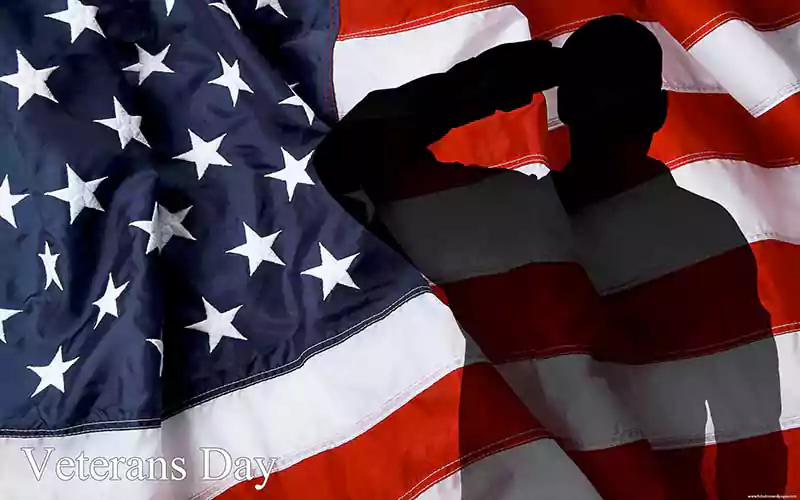 veterans day usa flag salute silhouette hd wallpaper