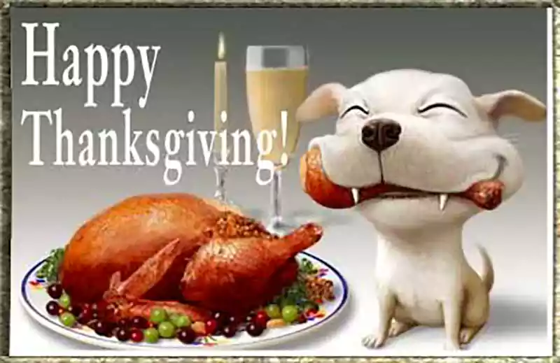 Happy Thanksgiving Friendship Image Cartoon