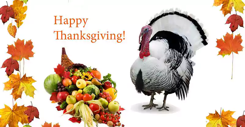Happy Thanksgiving Friendship Image and Memes