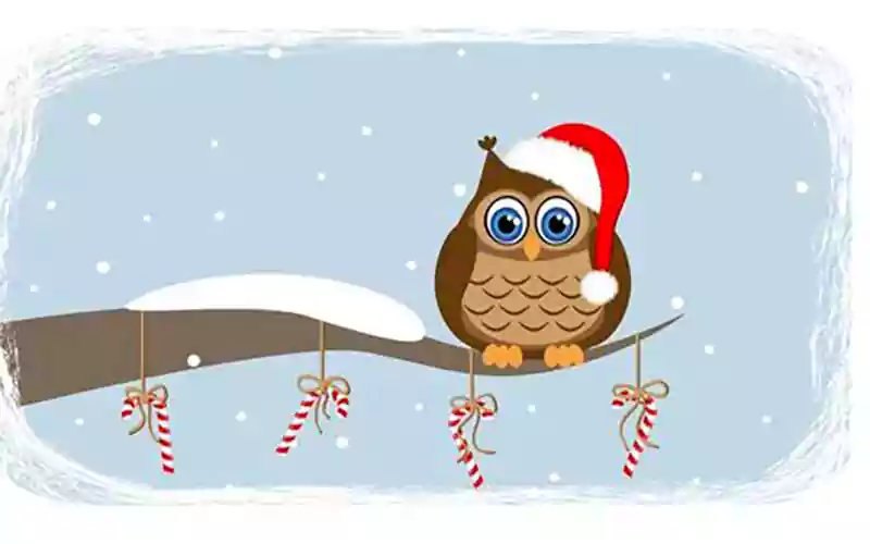 Merry Christmas Owl Images