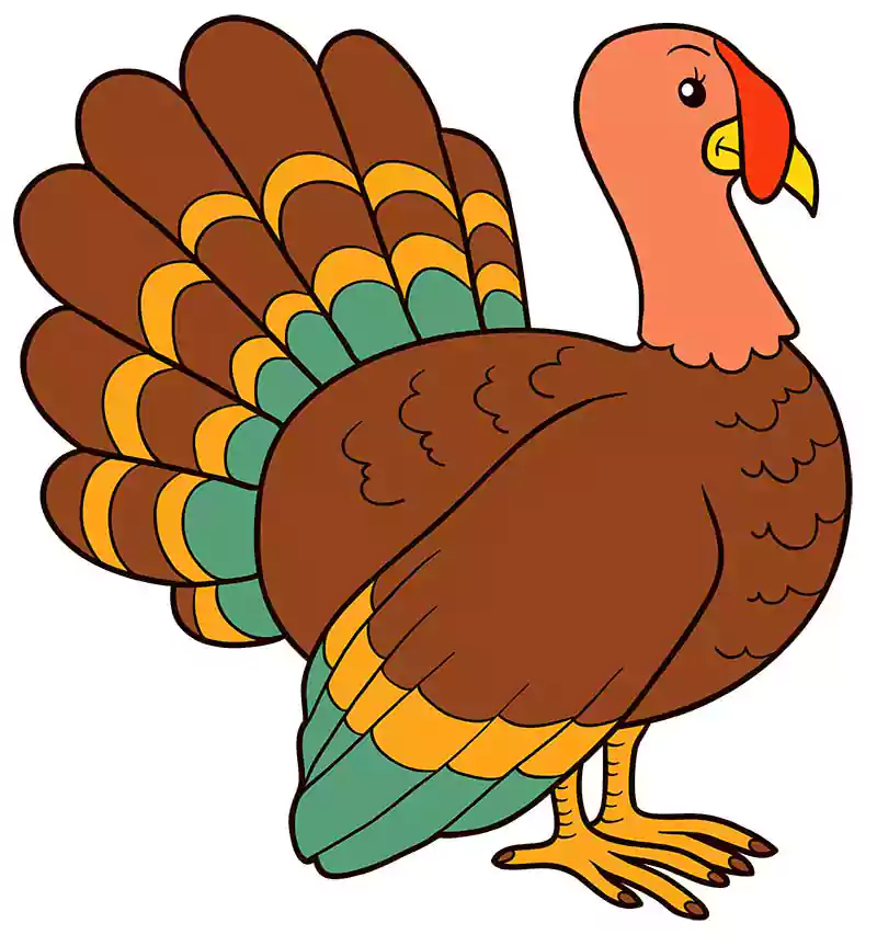 a turkey drawing
