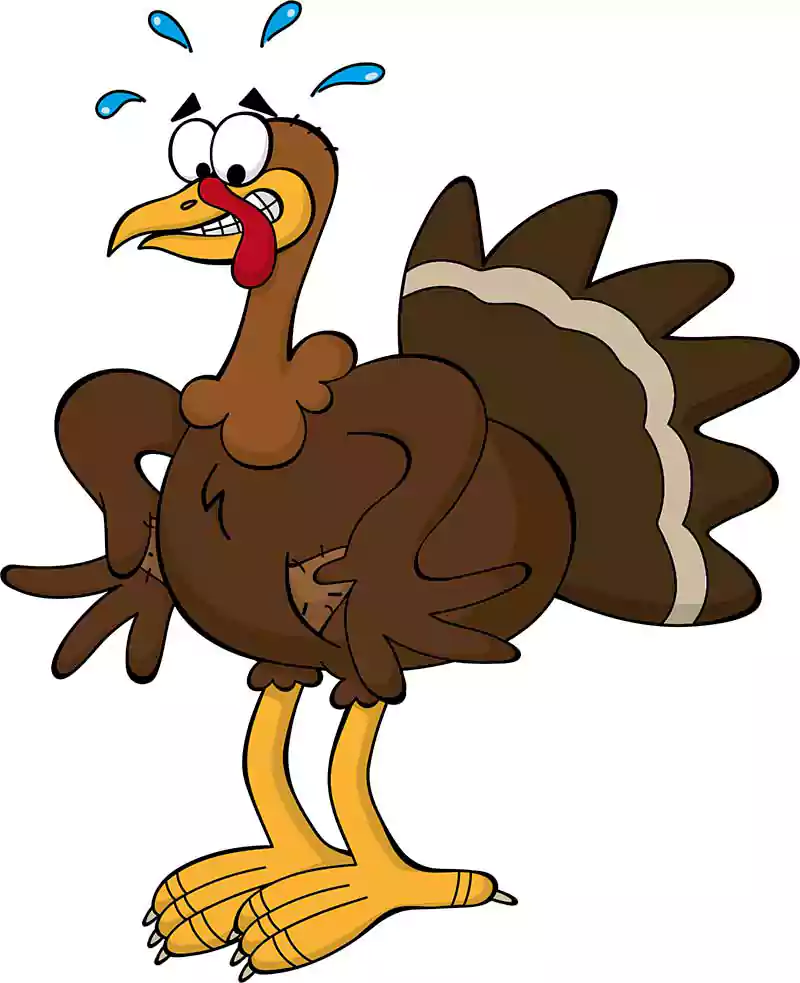 cartoon turkey picture