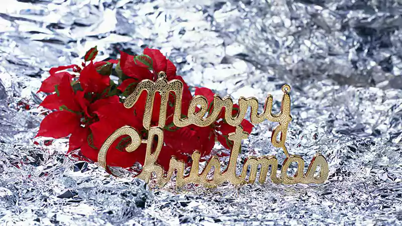 download images of merry christmas flowers