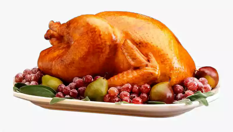 free thanksgiving turkey dinner photo