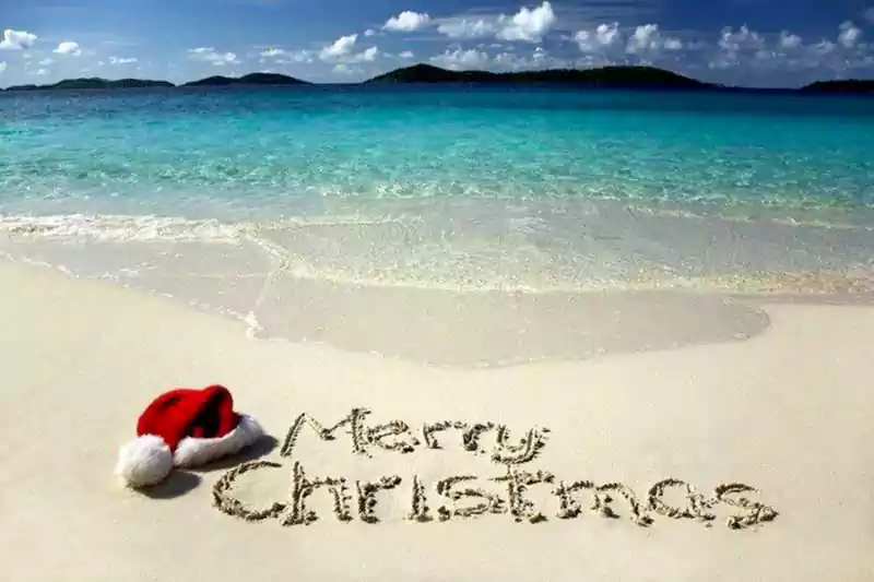free tropical merry christmas image