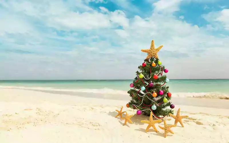 free tropical merry christmas image