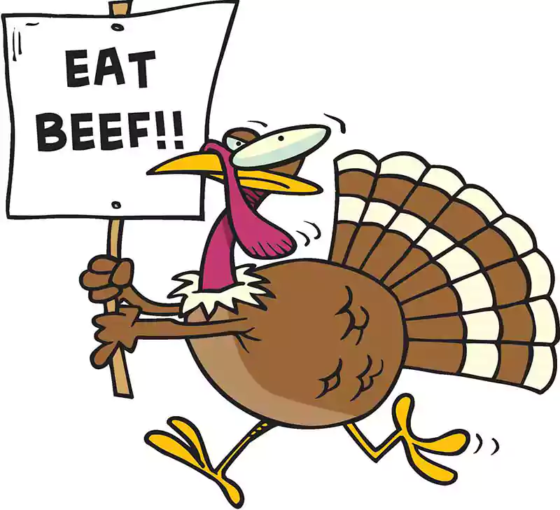 funny thanksgiving turkey photo