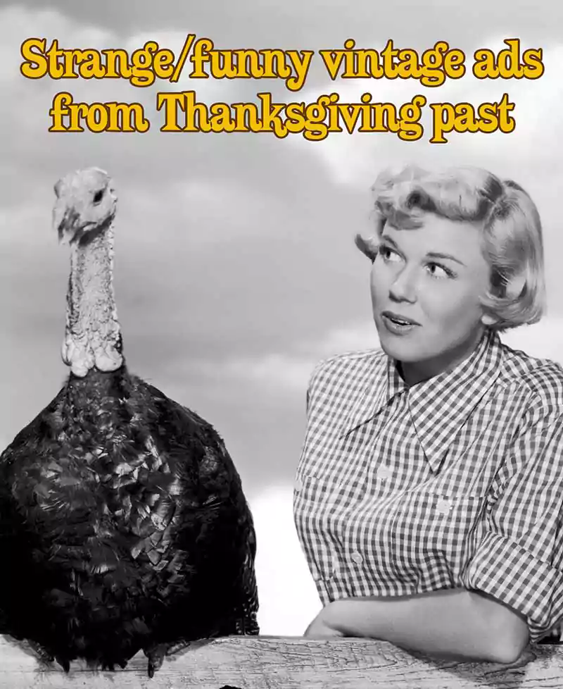 funny vintage thanksgiving phot