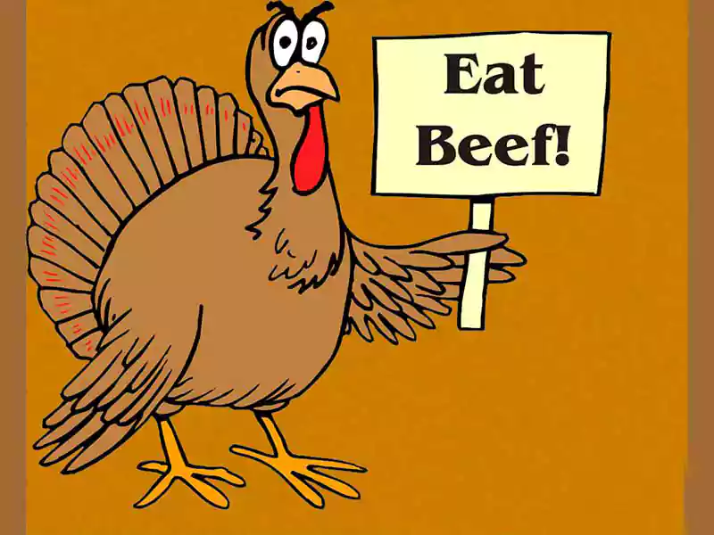 happy thanksgiving funny turkey image