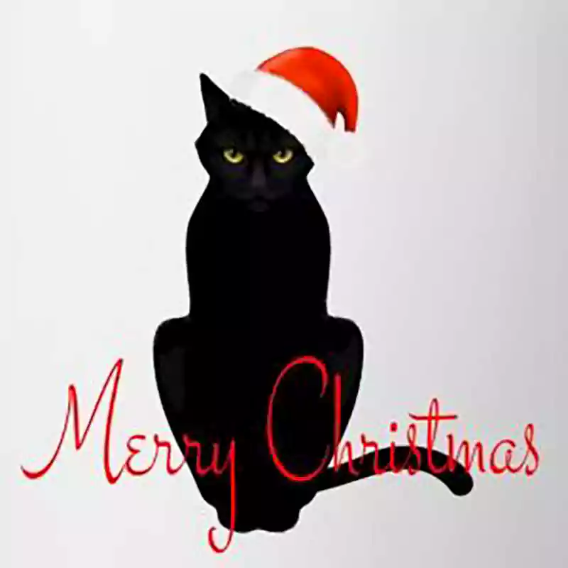 merry christmas black cat images