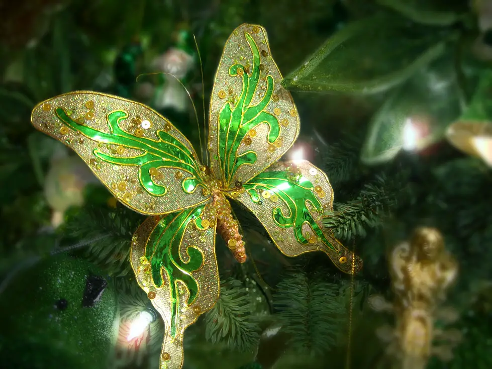 merry christmas butterfly image