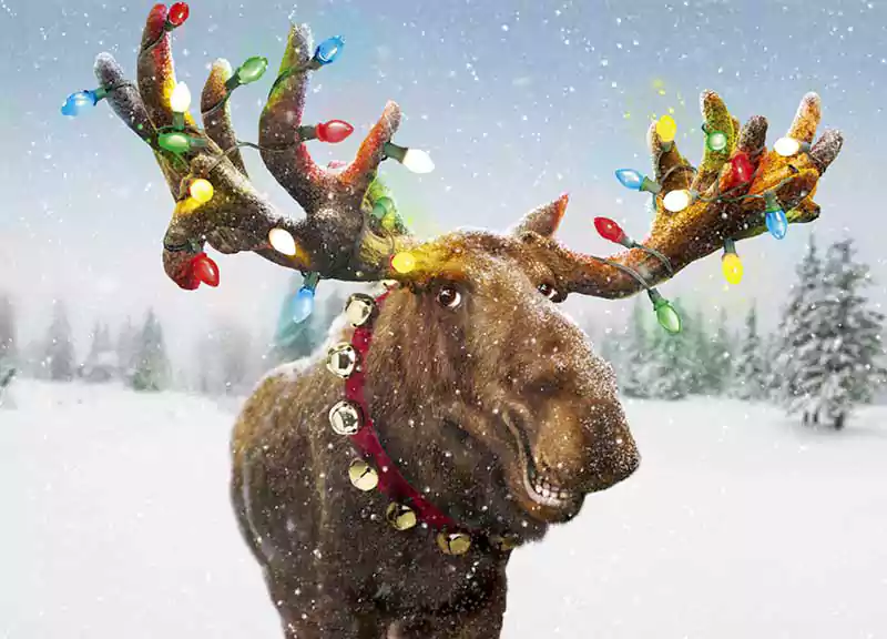 merry christmas deer images