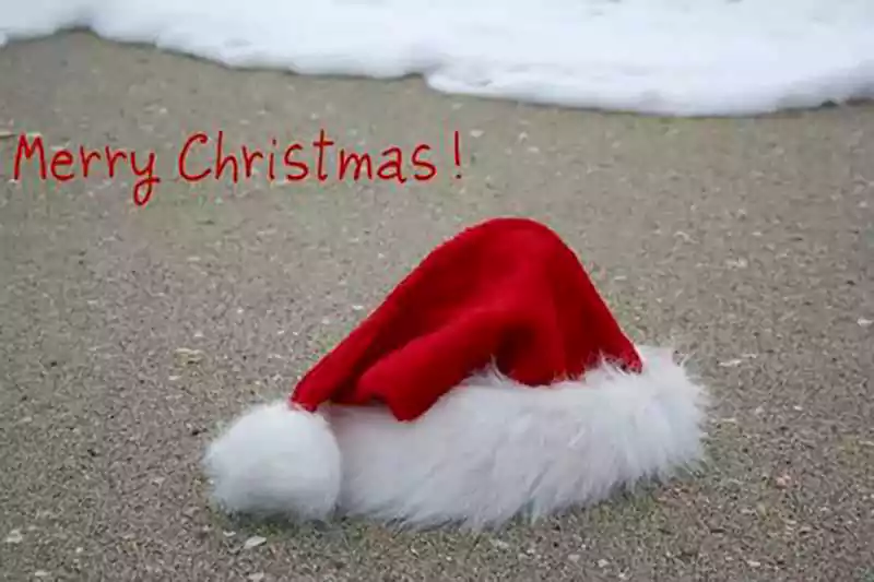 merry christmas florida style images