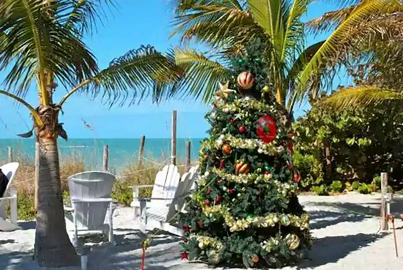 merry christmas florida style images