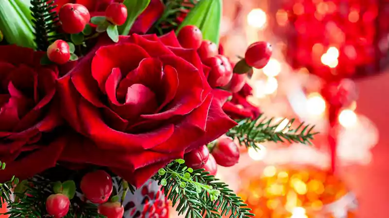 merry christmas flowers images