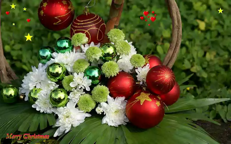 merry christmas flowers pictures