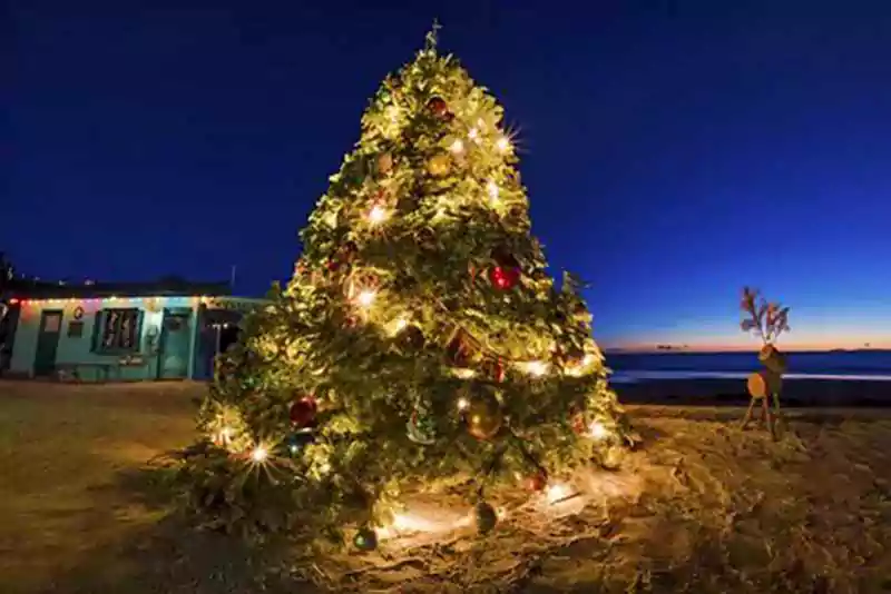 merry christmas from the beach images