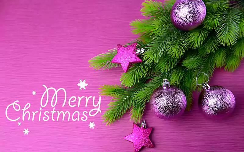 merry christmas images in purple