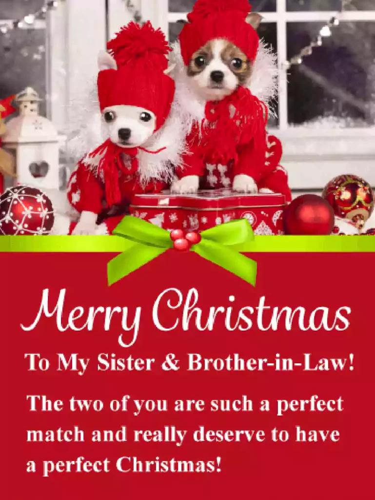 merry christmas sister and brother in law image