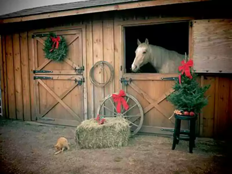 merry christmas with horse images