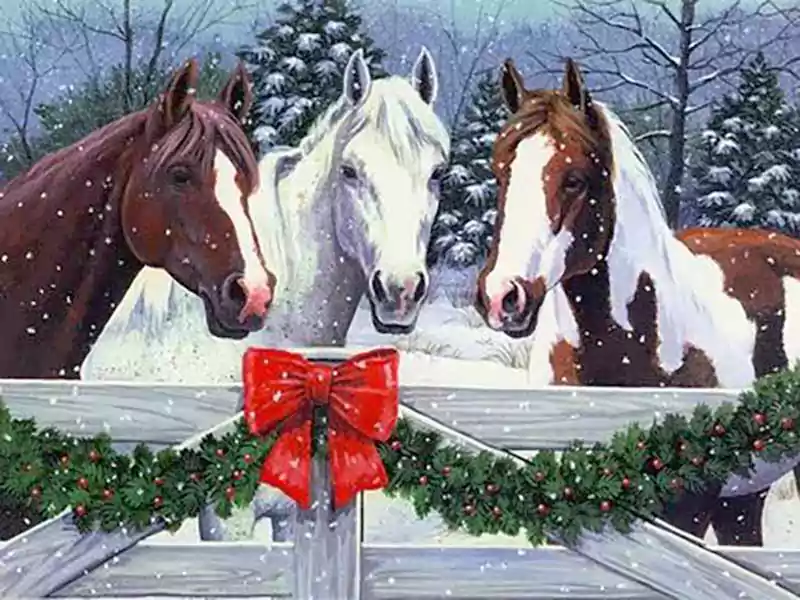 merry christmas with horse images