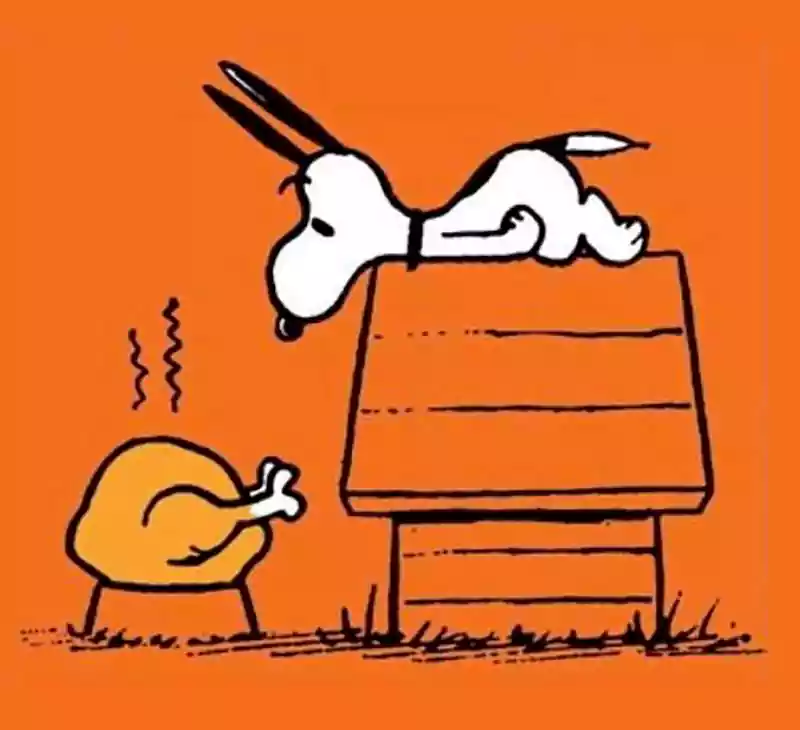 peanuts thanksgiving images for facebook