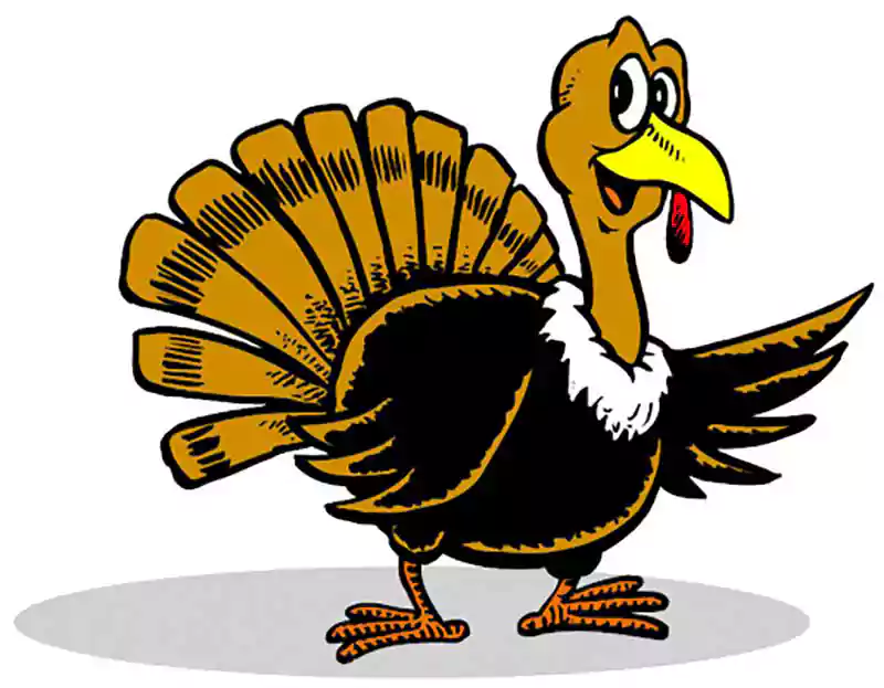 picture of a cartoon turkey for thanksgiving